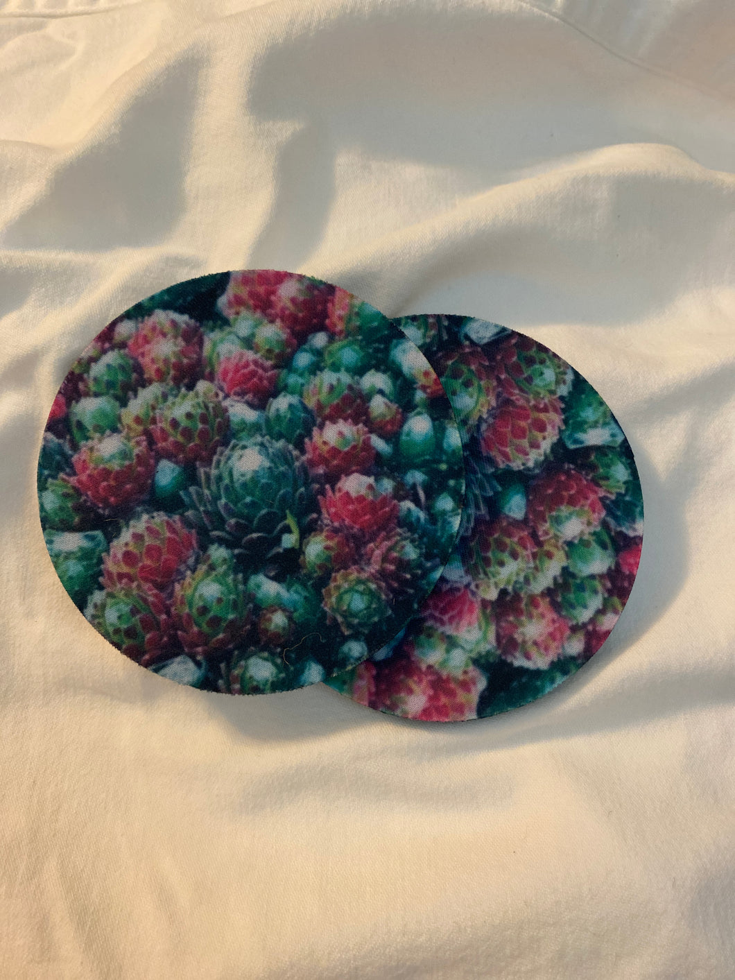 Coasters (set of 2)